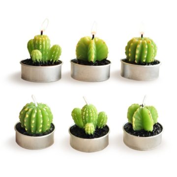 For the love of succulents - home deoor